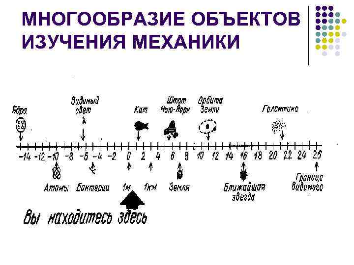 МНОГООБРАЗИЕ ОБЪЕКТОВ ИЗУЧЕНИЯ МЕХАНИКИ 