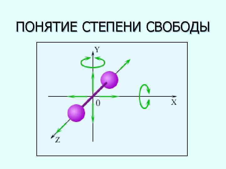 ПОНЯТИЕ СТЕПЕНИ СВОБОДЫ 