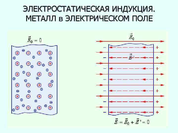 ЭЛЕКТРОСТАТИЧЕСКАЯ ИНДУКЦИЯ. МЕТАЛЛ в ЭЛЕКТРИЧЕСКОМ ПОЛЕ 