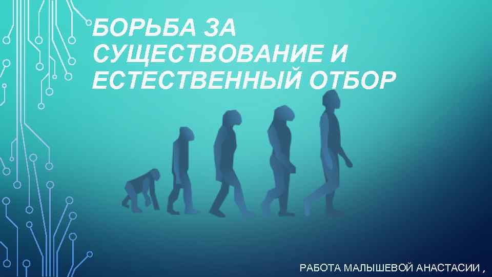 БОРЬБА ЗА СУЩЕСТВОВАНИЕ И ЕСТЕСТВЕННЫЙ ОТБОР РАБОТА МАЛЫШЕВОЙ АНАСТАСИИ , 