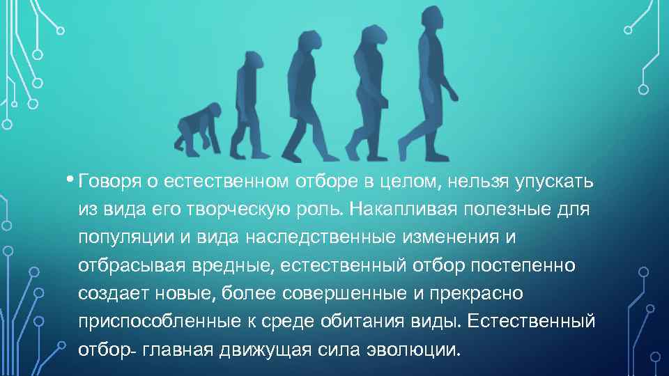 • Говоря о естественном отборе в целом, нельзя упускать из вида его творческую