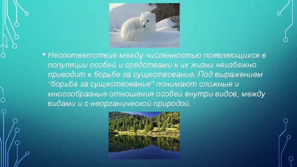  • Несоответствие между численностью появляющихся в популяции особей и средствами к их жизни