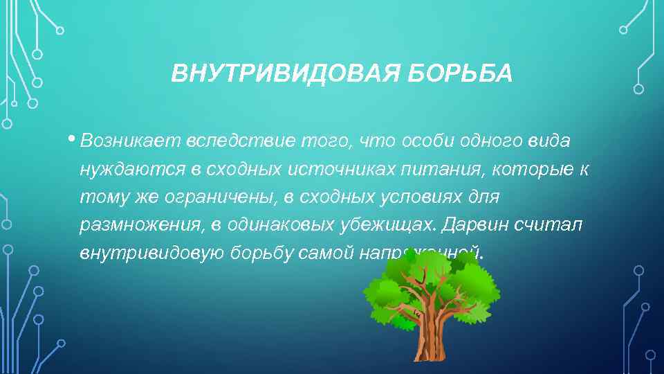 ВНУТРИВИДОВАЯ БОРЬБА • Возникает вследствие того, что особи одного вида нуждаются в сходных источниках