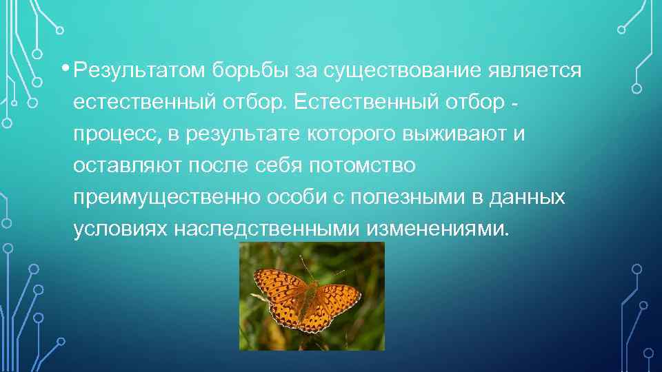 Борьба за существование и естественный отбор. Естественный отбор является результатом борьбы за существование. Что является результатом естественного отбора. Результат борьбы за существование и естественный отбор. Что является результатом борьбы за существование?.