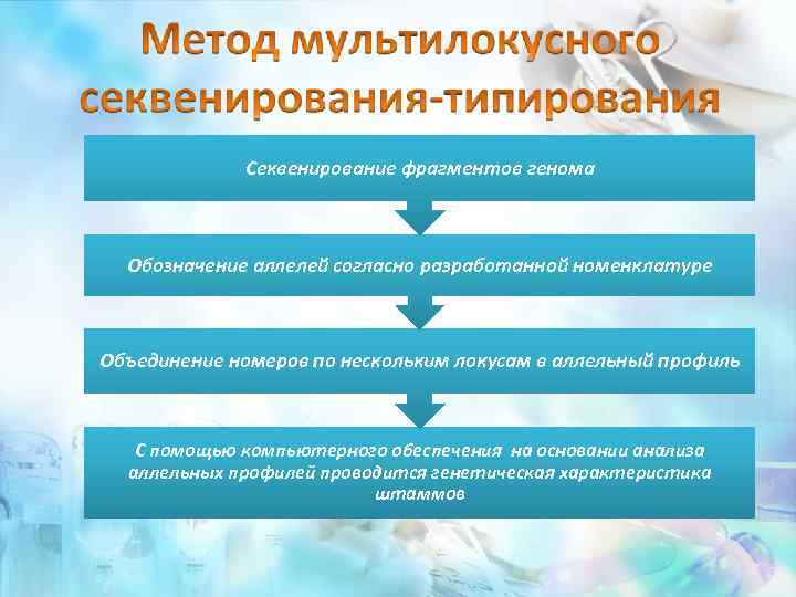Секвенирование фрагментов генома Обозначение аллелей согласно разработанной номенклатуре Объединение номеров по нескольким локусам в