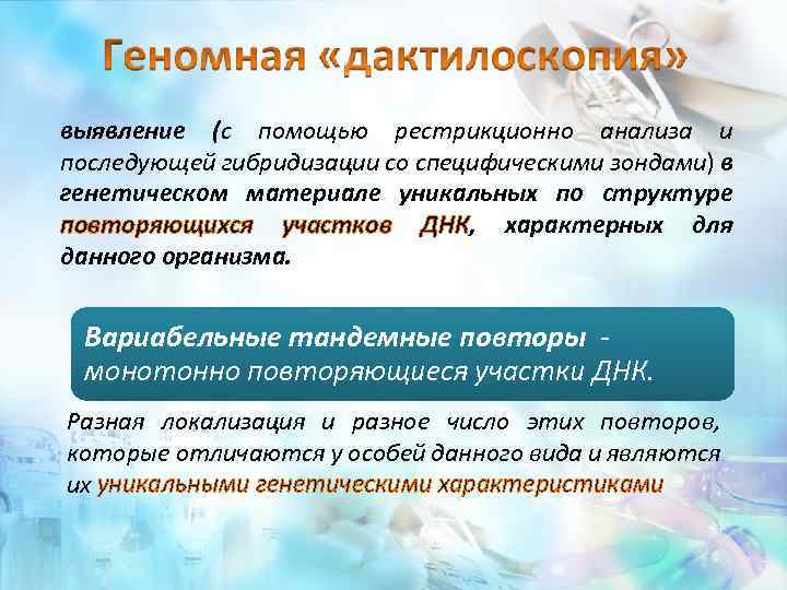 выявление (с помощью рестрикционно анализа и последующей гибридизации со специфическими зондами) в генетическом материале