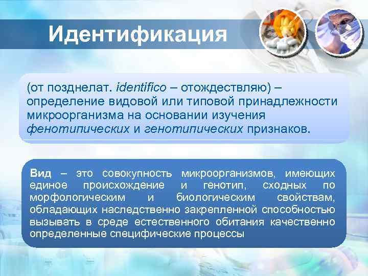 Идентификация (от позднелат. identifico – отождествляю) – определение видовой или типовой принадлежности микроорганизма на