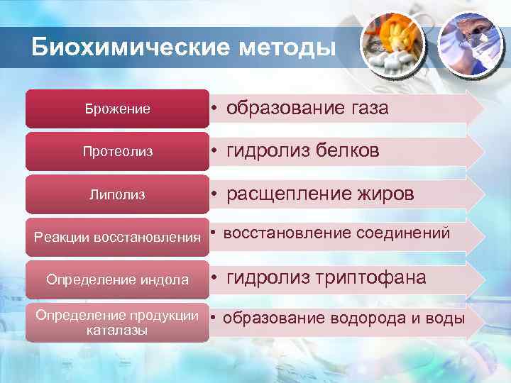Биохимические методы Брожение • образование газа Протеолиз • гидролиз белков Липолиз Реакции восстановления Определение