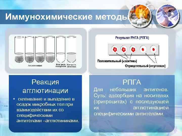 Иммунохимические методы Реакция агглютинации • склеивание и выпадение в осадок микробных тел при взаимодействии