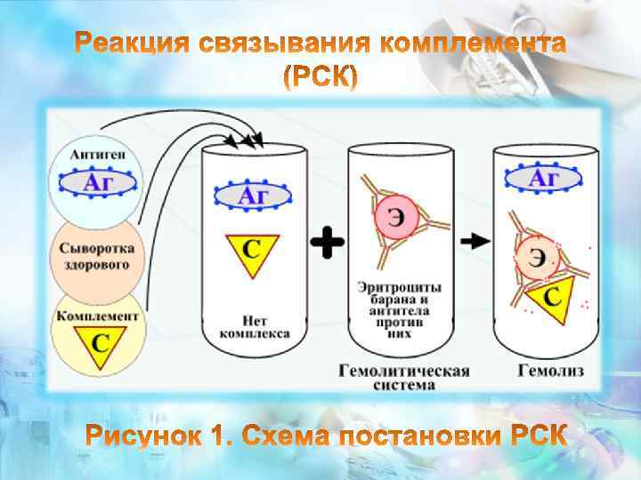 Схема реакция связывания комплемента