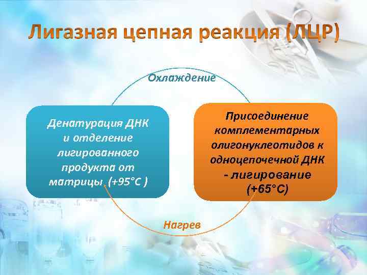 Охлаждение Присоединение комплементарных олигонуклеотидов к одноцепочечной ДНК - лигирование (+65°С) Денатурация ДНК и отделение