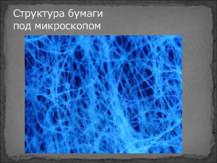 Структура бумаги под микроскопом 