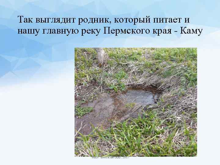 Так выглядит родник, который питает и нашу главную реку Пермского края - Каму МБОУ