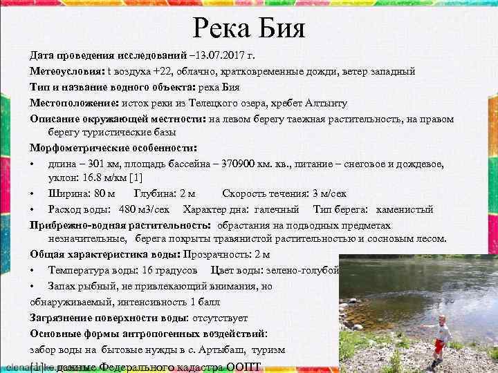 Река Бия Дата проведения исследований – 13. 07. 2017 г. Метеоусловия: t воздуха +22,