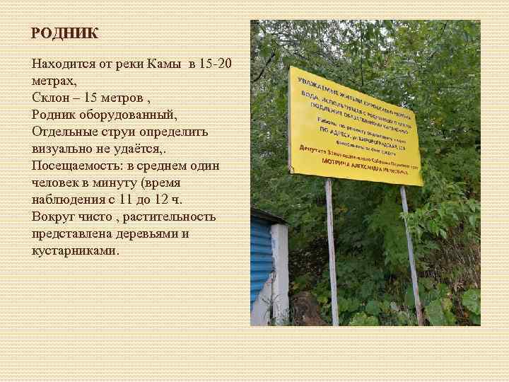 РОДНИК Находится от реки Камы в 15 -20 метрах, Склон – 15 метров ,