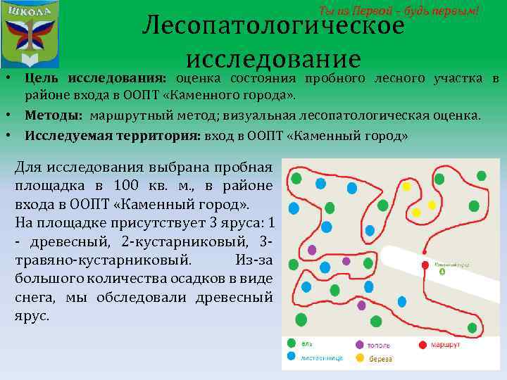 Метод маршрутной фотографии используется при