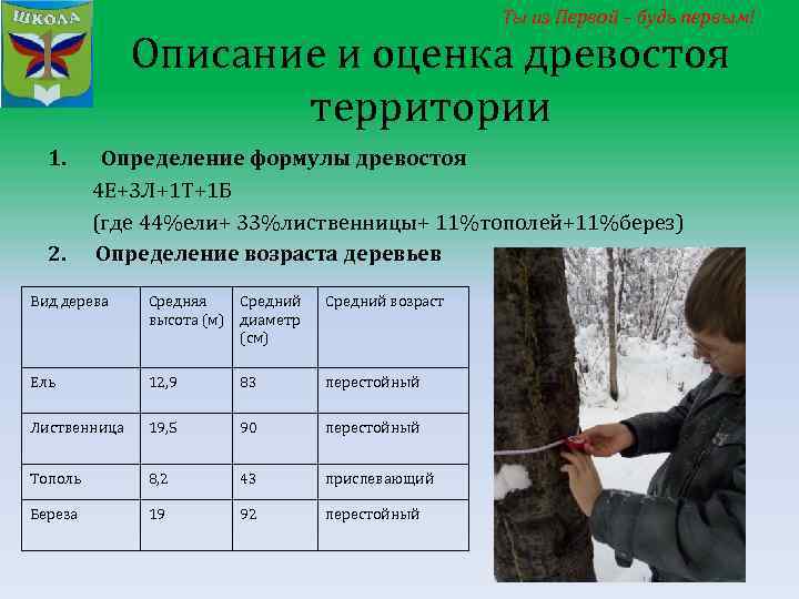 Ты из Первой – будь первым! Описание и оценка древостоя территории 1. Определение формулы