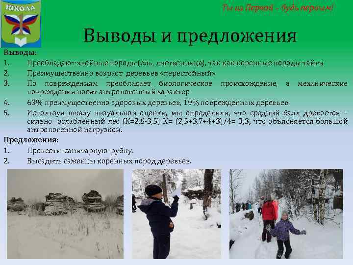 Ты из Первой – будь первым! Выводы и предложения Выводы: 1. Преобладают хвойные породы(ель,