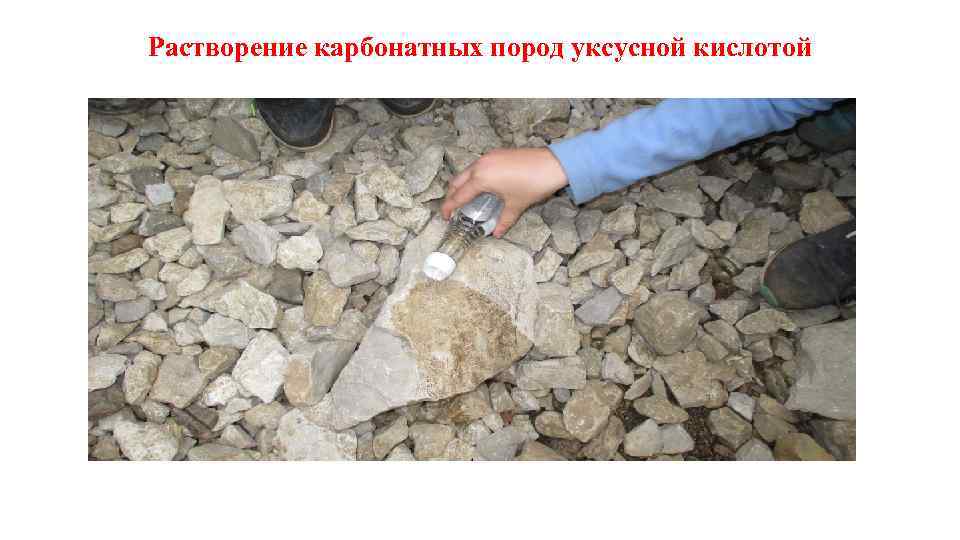 Растворение карбонатных пород уксусной кислотой 