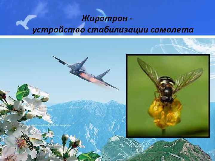 Жиротрон устройство стабилизации самолета 