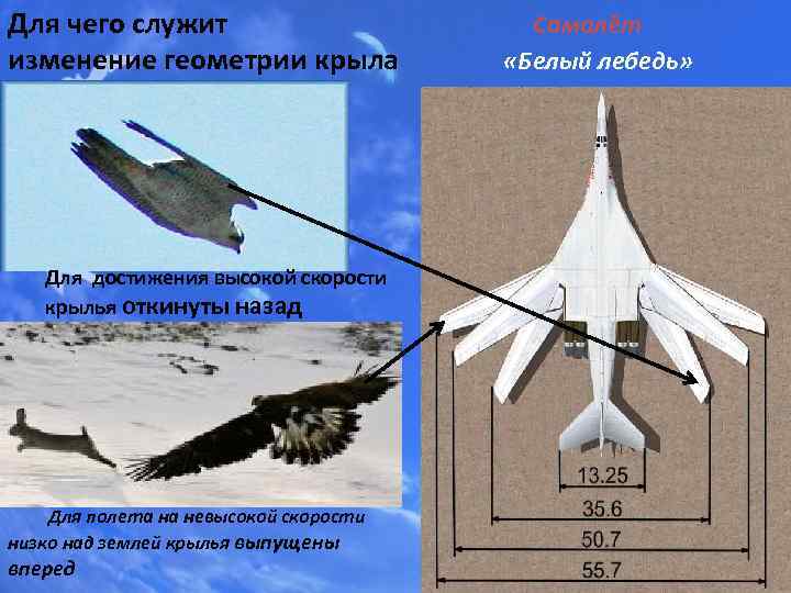 Для чего служит Самолёт изменение геометрии крыла «Белый лебедь» Для достижения высокой скорости крылья
