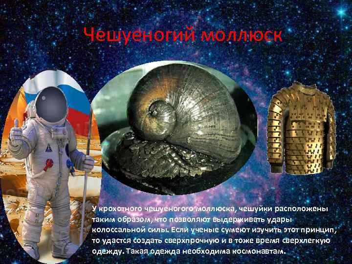 Чешуеногий моллюск У крохотного чешуеногого моллюска, чешуйки расположены таким образом, что позволяют выдерживать удары