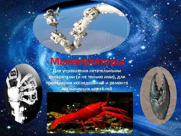 Манипуляторы Для управления летательными аппаратами (и не только ими), для проведения исследований и ремонта