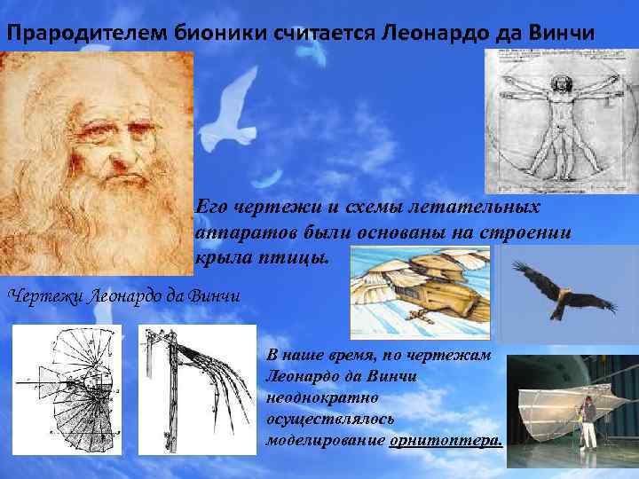 Прародителем бионики считается Леонардо да Винчи Его чертежи и схемы летательных аппаратов были основаны