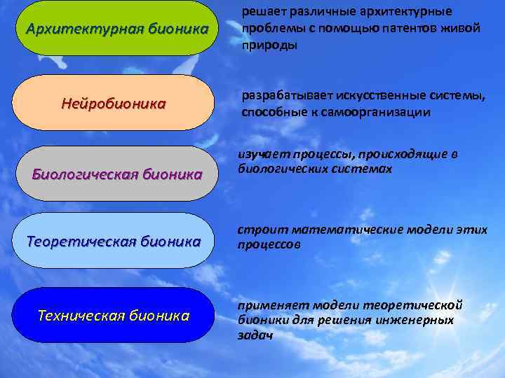Архитектурная бионика решает различные архитектурные проблемы с помощью патентов живой природы Нейробионика разрабатывает искусственные