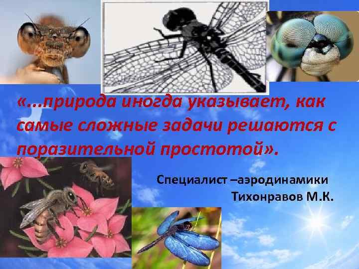  «. . . природа иногда указывает, как самые сложные задачи решаются с поразительной