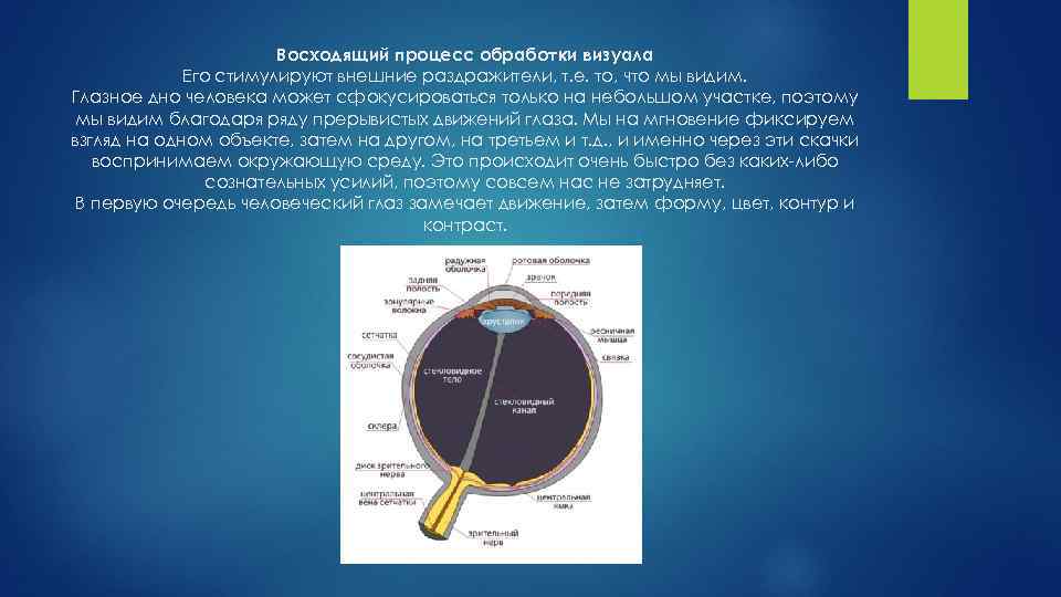 Восходящий процесс обработки визуала Его стимулируют внешние раздражители, т. е. то, что мы видим.