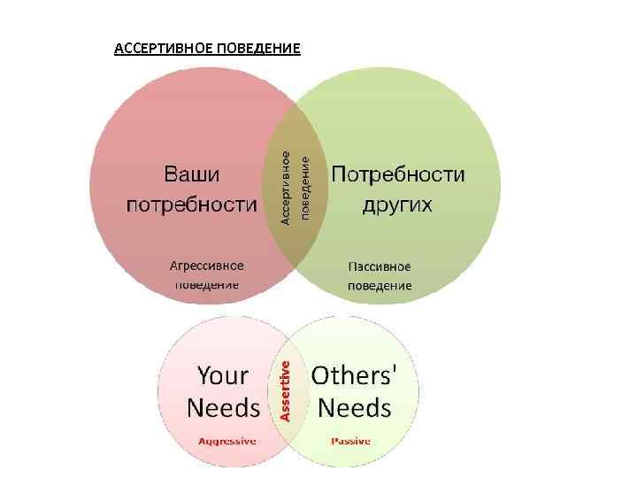 Ассертивное поведение. Ассертивноеное поведение. Аввертивное поведение. Навыки ассертивного поведения. Тренинг ассертивного поведения.