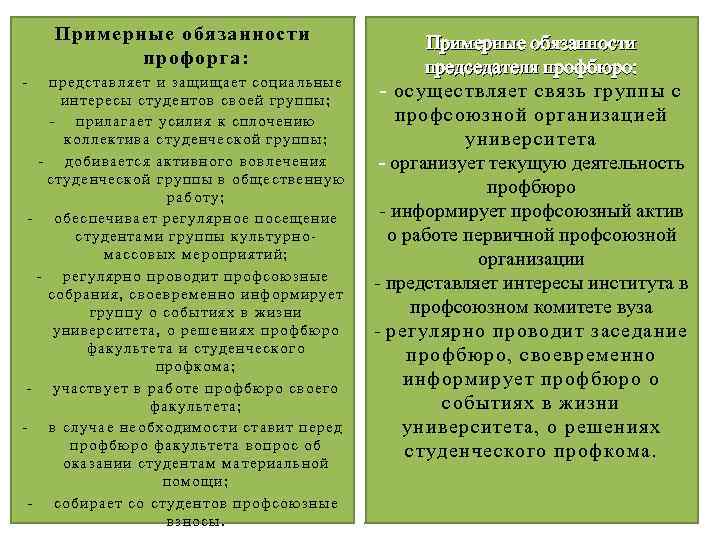 Примерные обязанности профорга: - представляет и защищает с оциальные интересы студентов своей группы; -