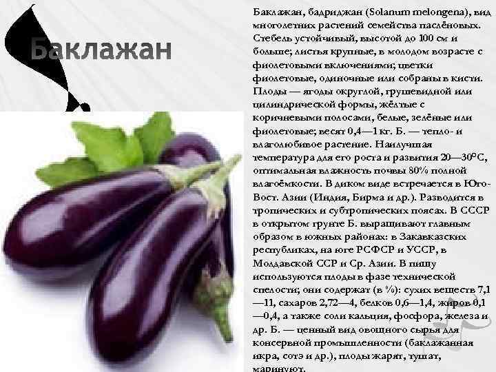 Экзотические овощи презентация