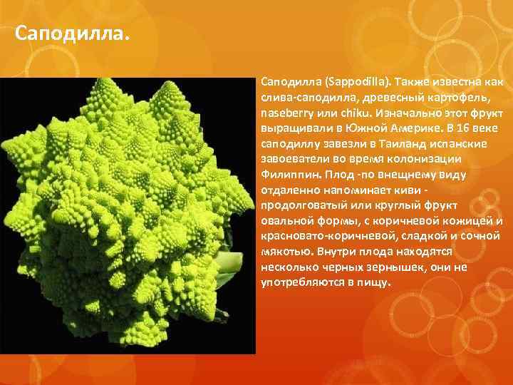 Саподилла (Sappodilla). Также известна как слива-саподилла, древесный картофель, naseberry или chiku. Изначально этот фрукт