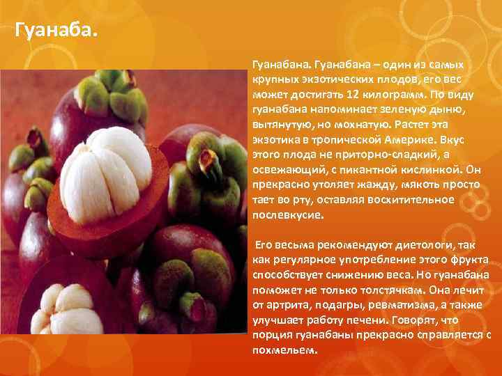 Гуанабана – один из самых крупных экзотических плодов, его вес может достигать 12 килограмм.