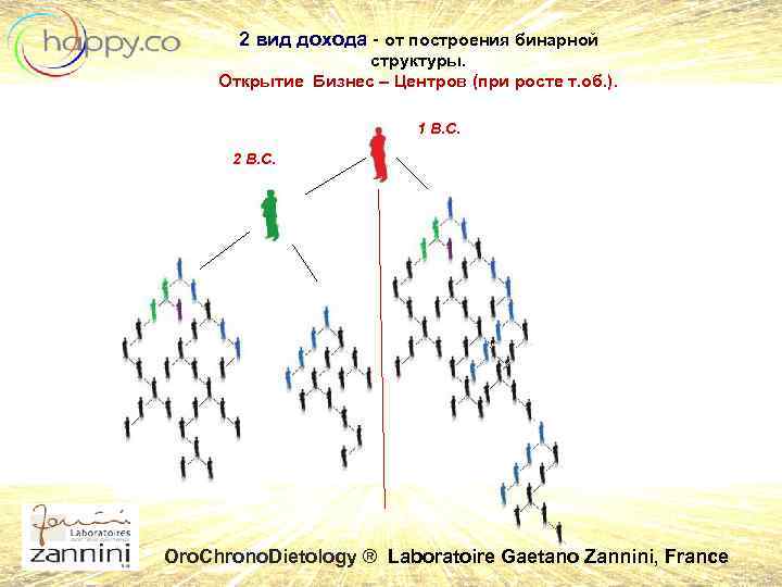 2 вид дохода - от построения бинарной структуры. Открытие Бизнес – Центров (при росте