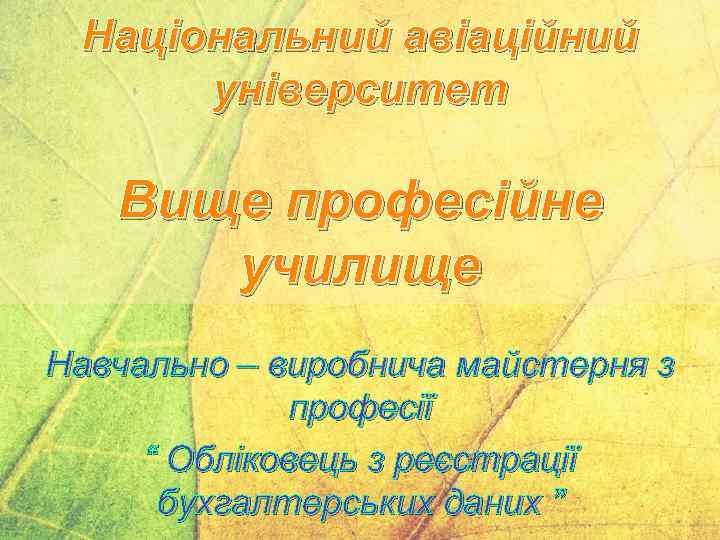 Національний авіаційний університет Вище професійне училище Навчально – виробнича майстерня з професії “ Обліковець