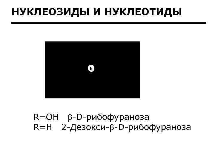 НУКЛЕОЗИДЫ И НУКЛЕОТИДЫ R=OH -D-рибофураноза R=H 2 -Дезокси- -D-рибофураноза 