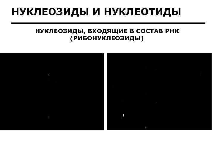 НУКЛЕОЗИДЫ И НУКЛЕОТИДЫ НУКЛЕОЗИДЫ, ВХОДЯЩИЕ В СОСТАВ РНК (РИБОНУКЛЕОЗИДЫ) 