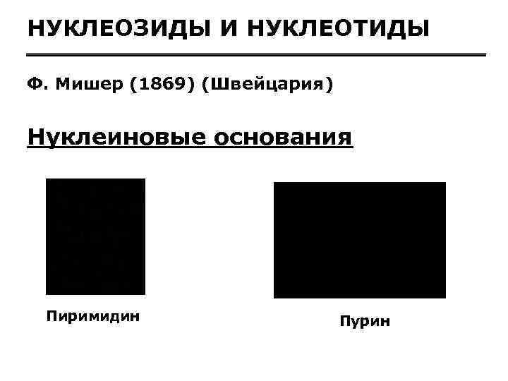 НУКЛЕОЗИДЫ И НУКЛЕОТИДЫ Ф. Мишер (1869) (Швейцария) Нуклеиновые основания Пиримидин Пурин 