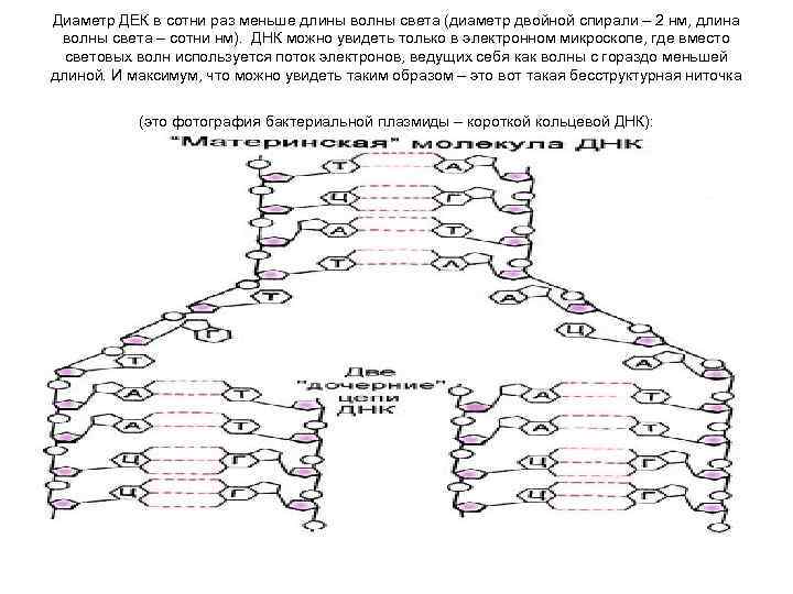 Диаметр ДЕК в сотни раз меньше длины волны света (диаметр двойной спирали – 2