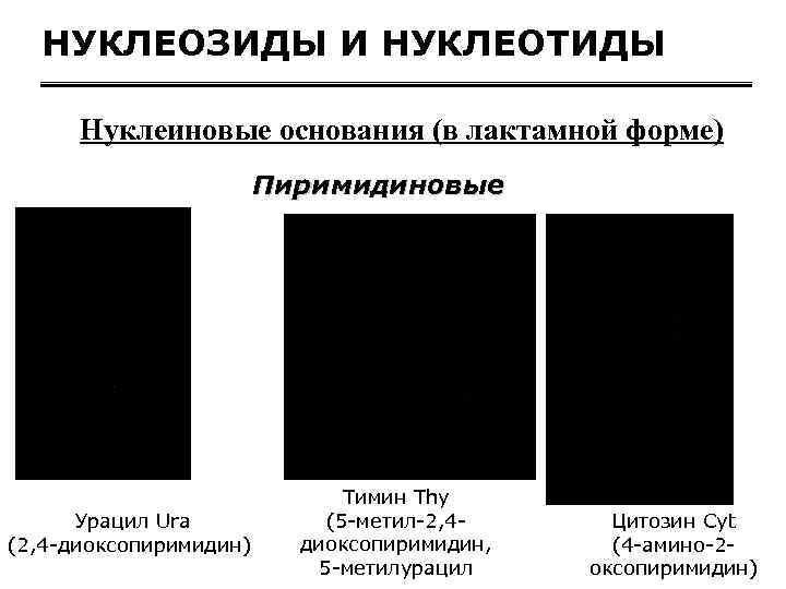 НУКЛЕОЗИДЫ И НУКЛЕОТИДЫ Нуклеиновые основания (в лактамной форме) Пиримидиновые Урацил Ura (2, 4 -диоксопиримидин)