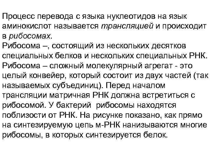 Процесс перевода с языка нуклеотидов на язык аминокислот называется трансляцией и происходит в рибосомах.