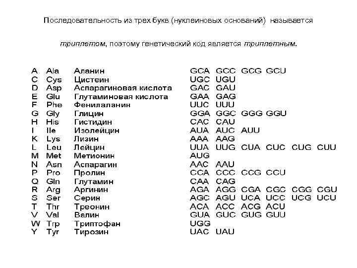 Последовательность из трех букв (нуклеиновых оснований) называется триплетом, поэтому генетический код является триплетным. •