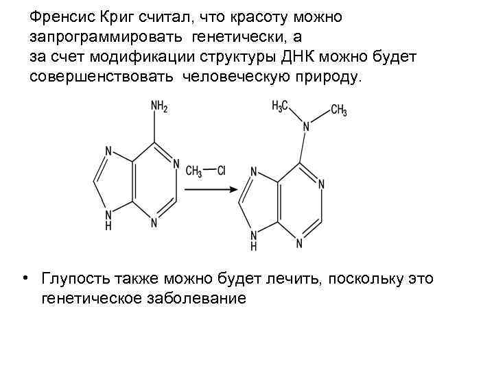 Френсис Криг считал, что красоту можно запрограммировать генетически, а за счет модификации структуры ДНК