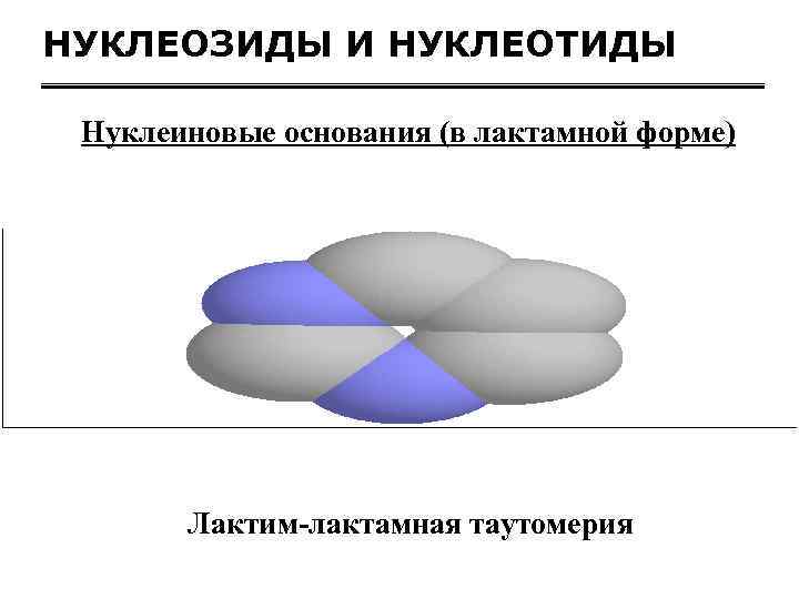 НУКЛЕОЗИДЫ И НУКЛЕОТИДЫ Нуклеиновые основания (в лактамной форме) Лактим-лактамная таутомерия 