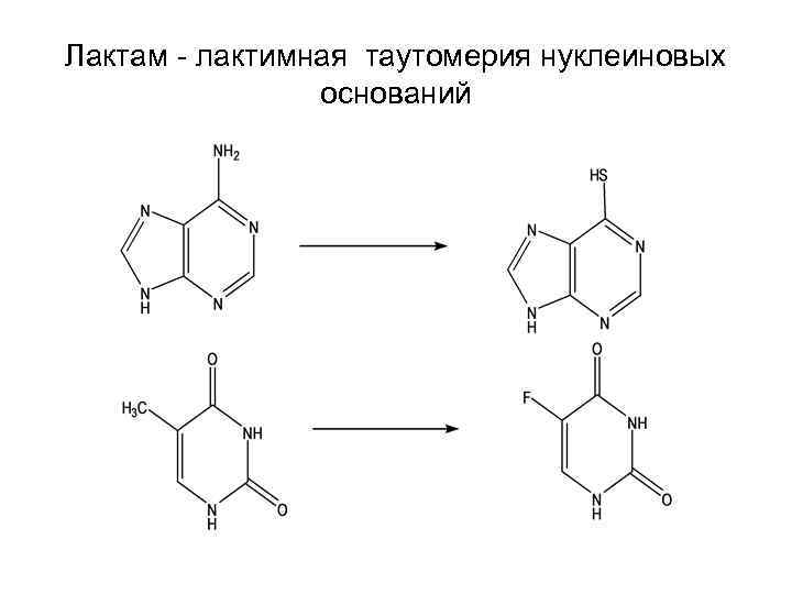 Таутомерия аденина. Лактам-лактимная таутомерия. Лактам-лактимная таутомерия аденина. Лактам лактимная таутомерия урацила. Гидроксикислоты лактам лактимная таутомерия.