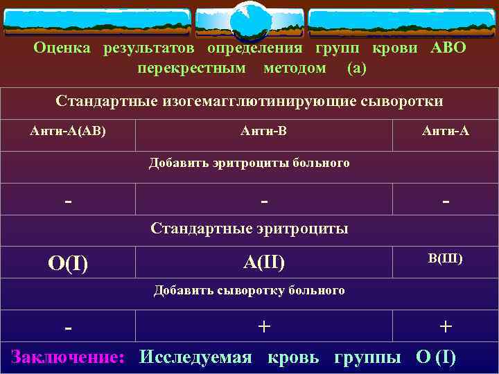 Оценка результатов определения групп крови АВО перекрестным методом (а) Стандартные изогемагглютинирующие сыворотки Анти-А(АВ) Анти-В