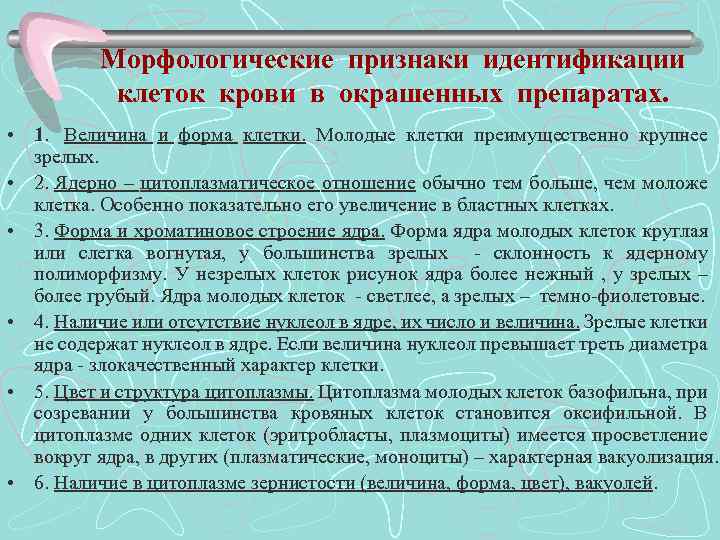 Морфологические признаки идентификации клеток крови в окрашенных препаратах. • 1. Величина и форма клетки.